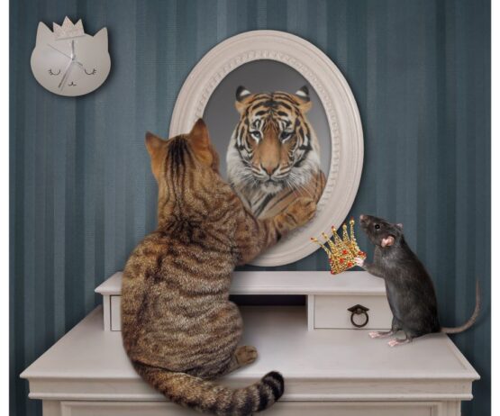 {{brizy_dc_image_alt entityId=