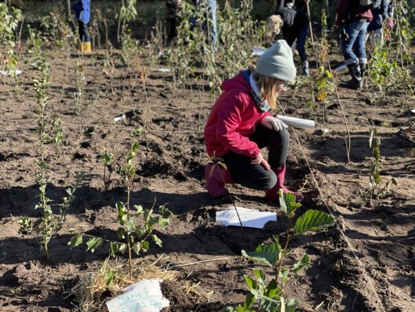 {{brizy_dc_image_alt entityId=